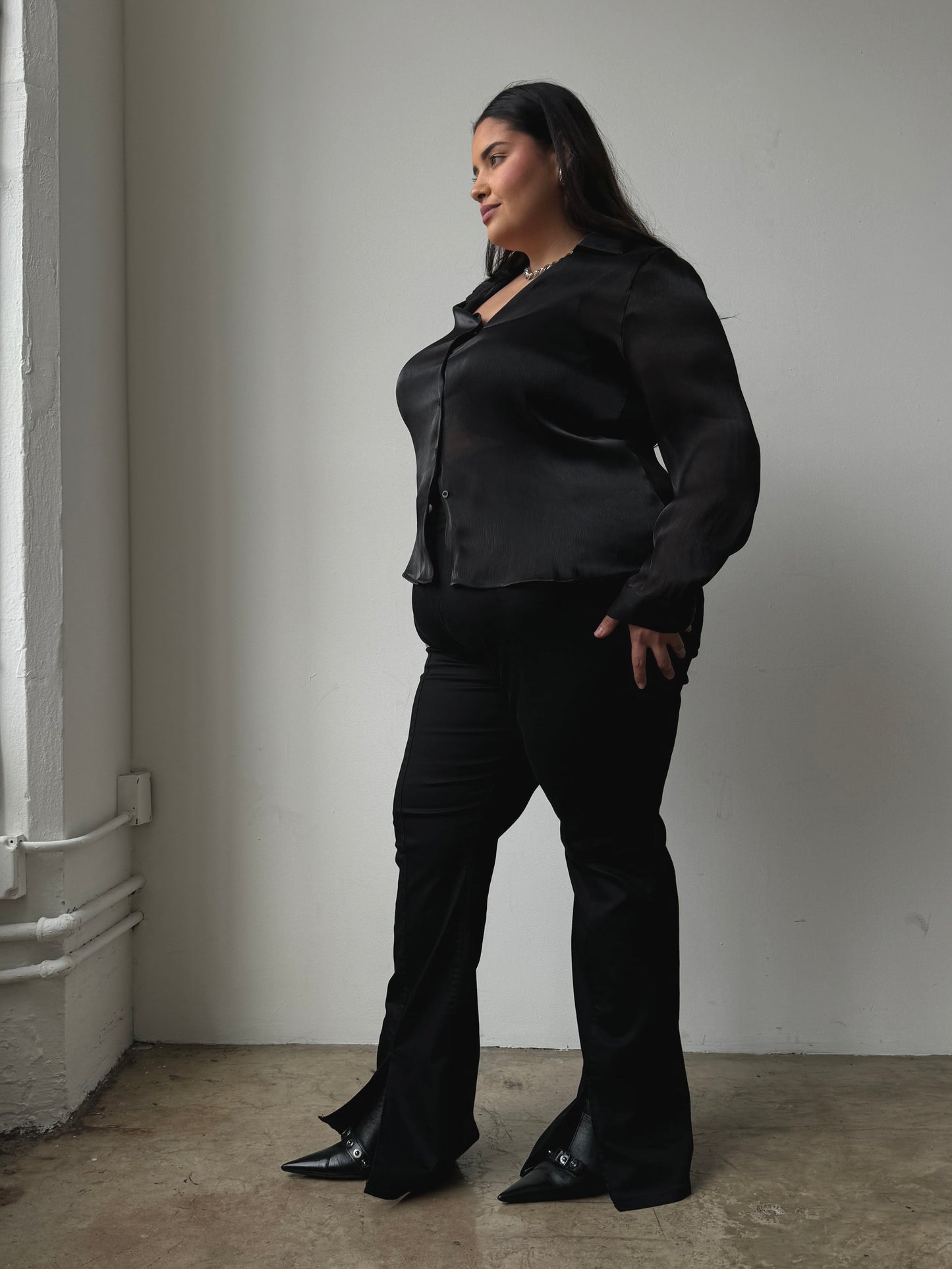 Plus Size Button Front Sheen Blouse