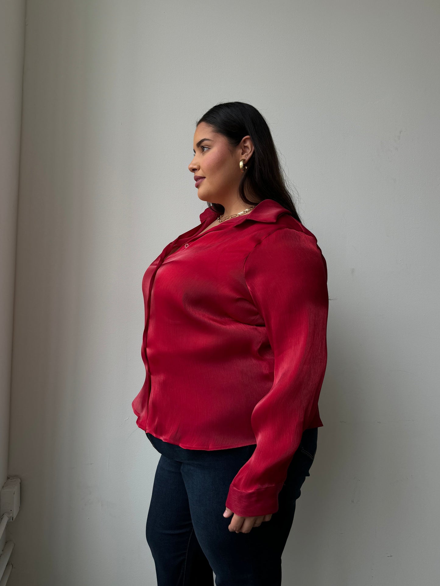 Plus Size Button Front Sheen Blouse